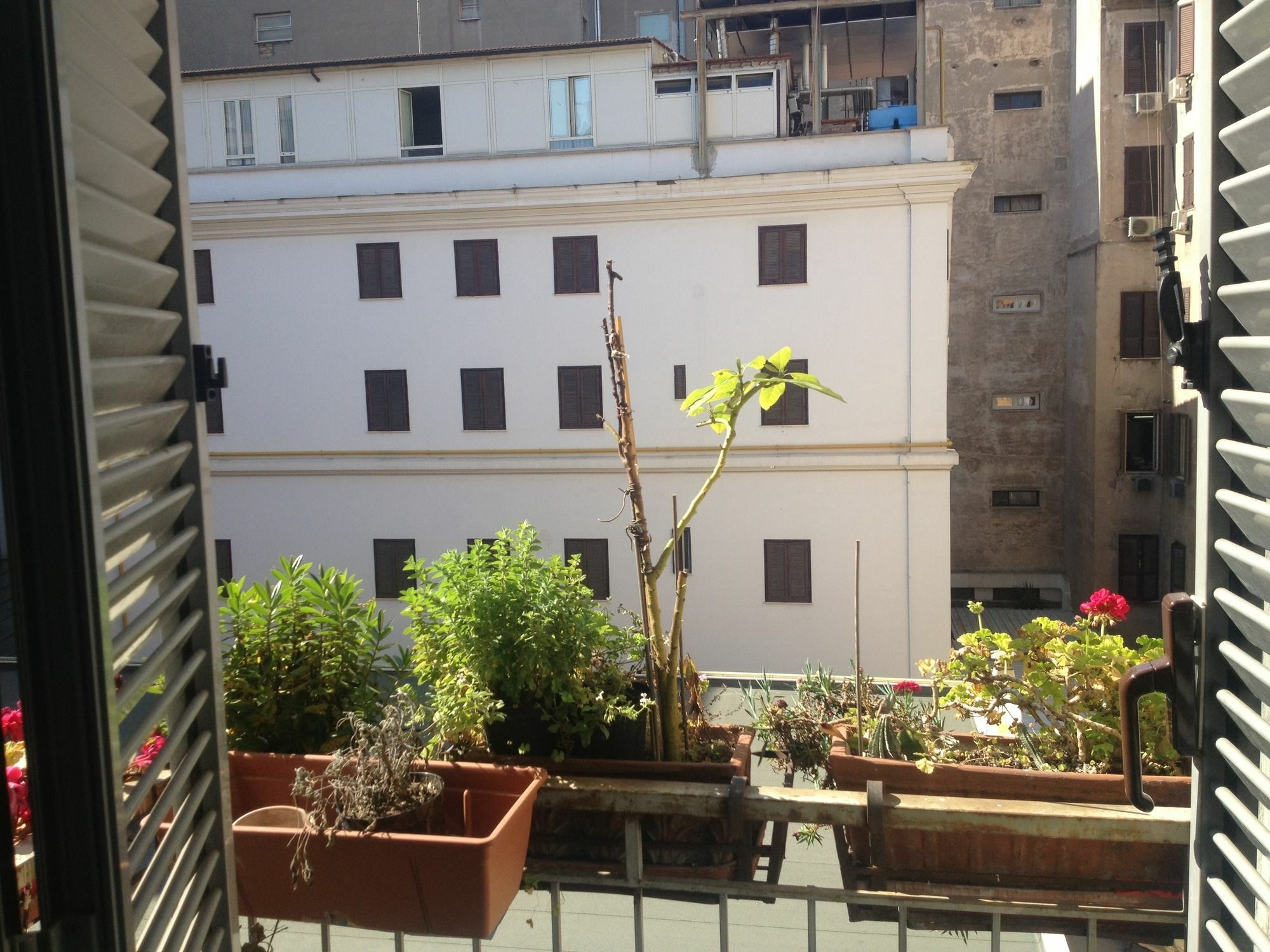 Roma Termini Inn Esterno foto